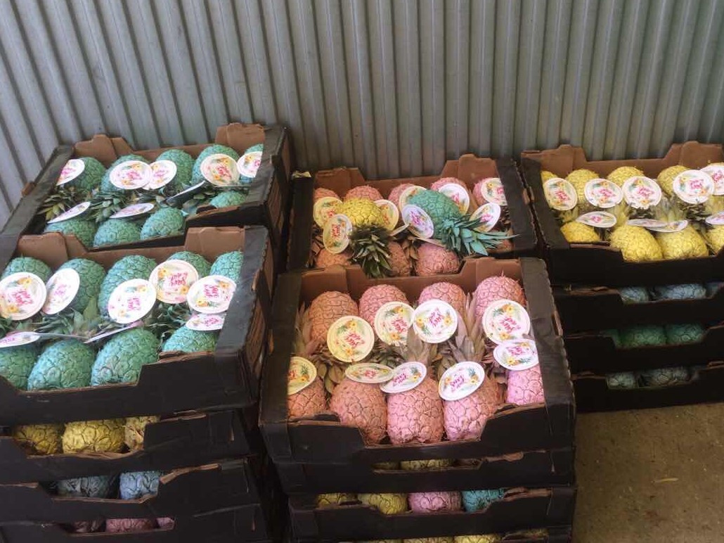 Kisebb áruk szállításra kikészítve